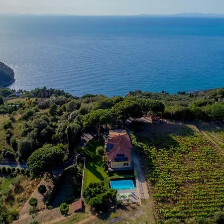 Mediterranean