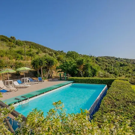 Mediterranean